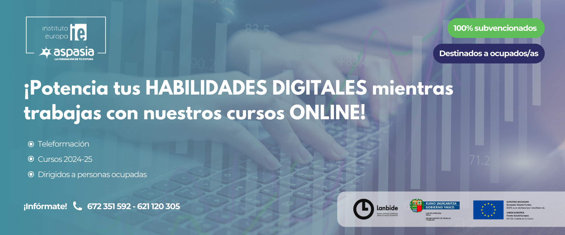 LanbideOcupadas24-habilidadesdigitales